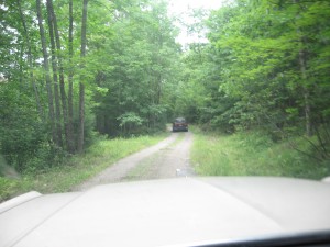 This "driveway" is probably half a mile long.