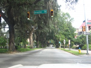 The dangerous streets of Savannah, where the trees have eyes.