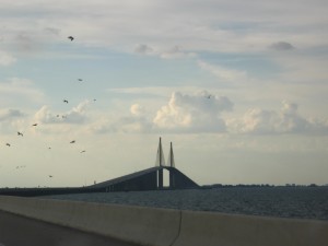 The alleged huge bridge.