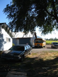 Limousine, bus, tree.  A still life by Zach Bardon.