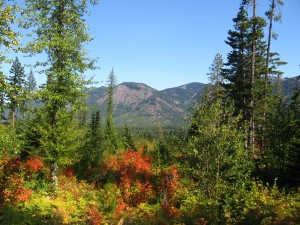 Montana's mountains were rugged and dirty.  Washington's were lush and cold.