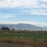 The bug splatters became pretty intense on my way out of Idaho.
